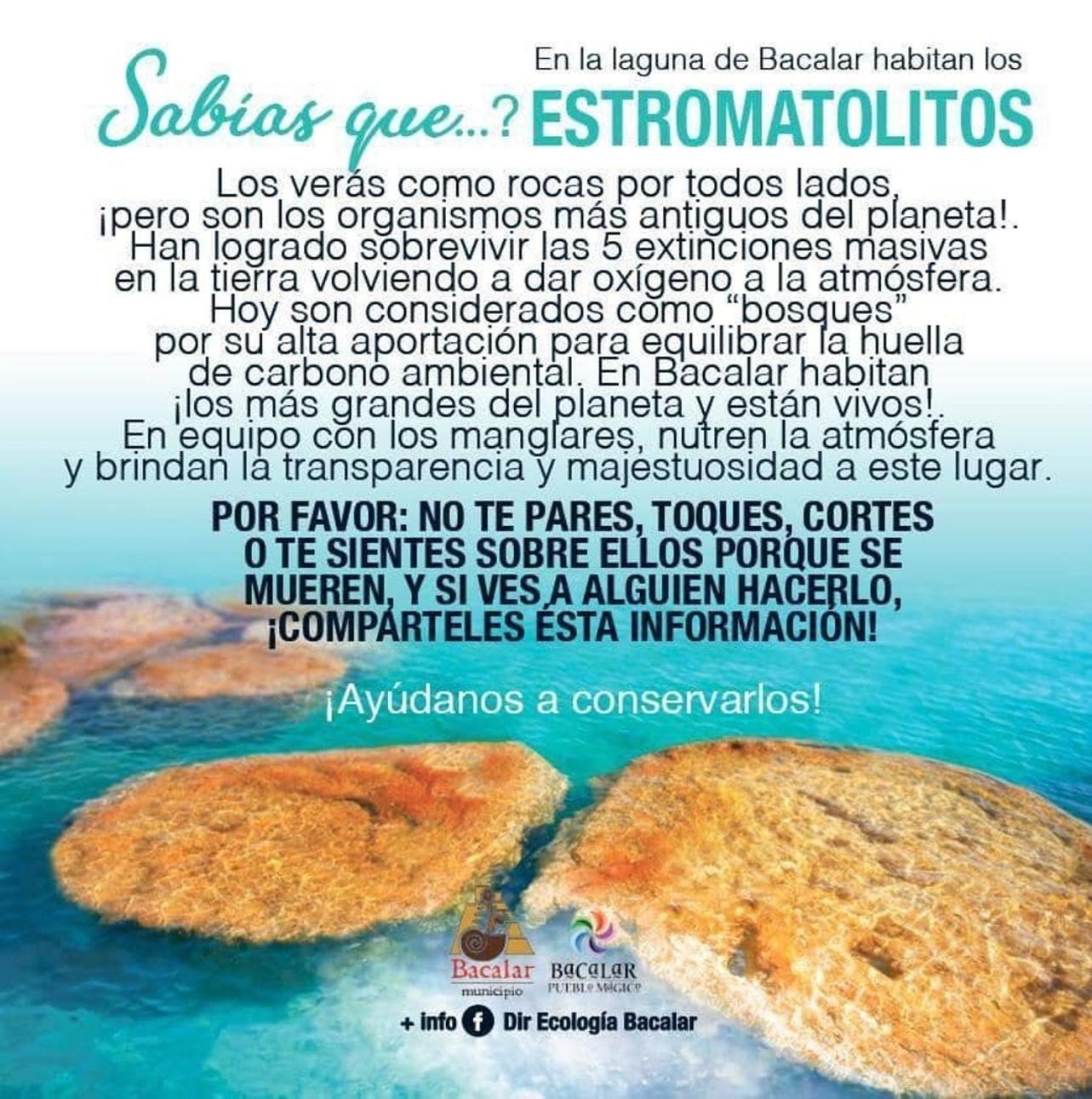 Casa Villa Real- Lagoon Acces And Stunning Views! Bacalar Exterior foto